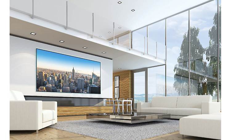 Screen Innovations Zero Edge® (Black Diamond Fusion) Rejects up to 85% of ambient light