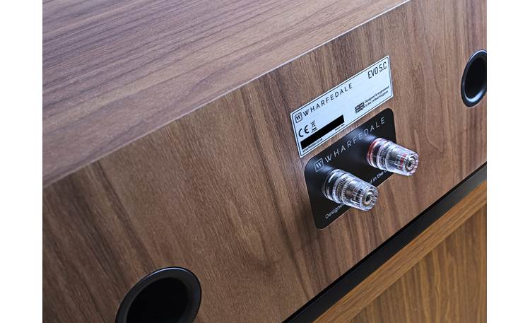 Wharfedale EVO 5.C Detail showing binding post terminals and rear ports