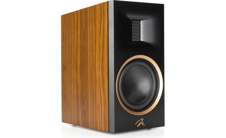 MartinLogan Motion® XT B100 Other