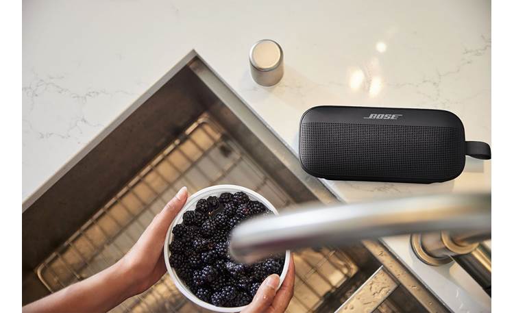 Bose SoundLink Plus Other