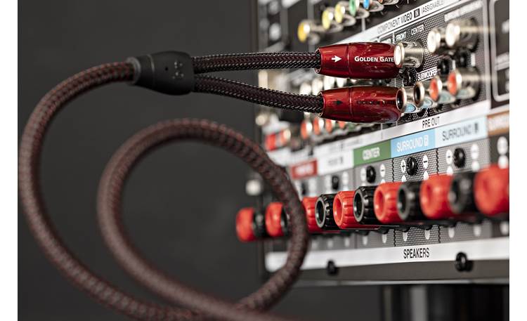 AudioQuest Golden Gate (0.6 meter/2 feet) Stereo