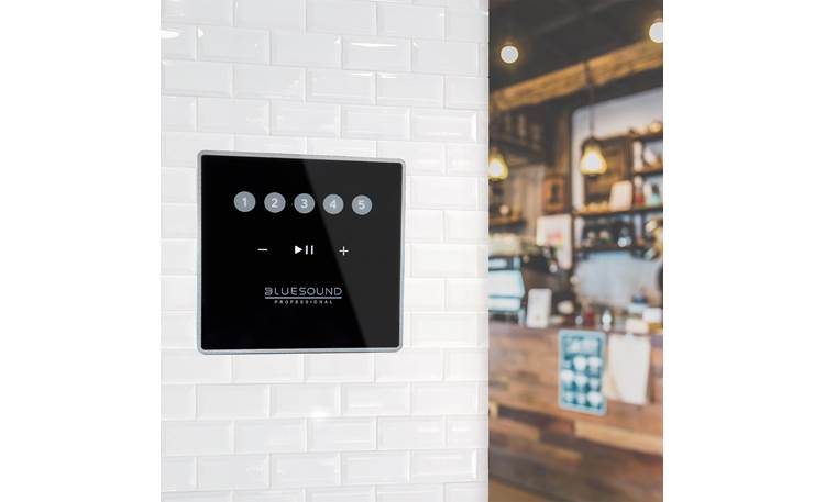 Bluesound Professional CP100 Easy control in a busy work environment