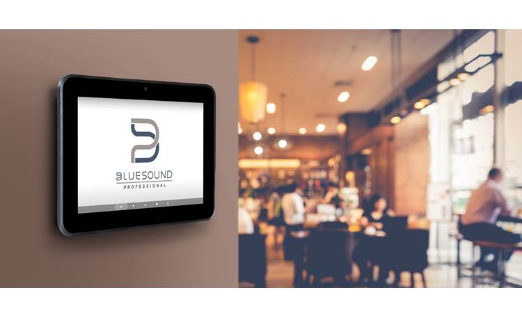 Bluesound Professional CP300 Easy tactile control of a BluOS system