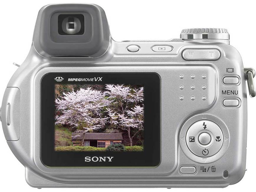 Sony Cyber-shot DSC-H2 6-megapixel digital camera with 12X optical