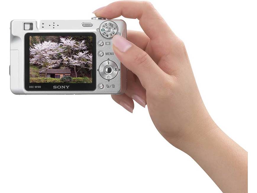Sony Cyber-shot DSC-W100 8.1-megapixel digital camera at Crutchfield