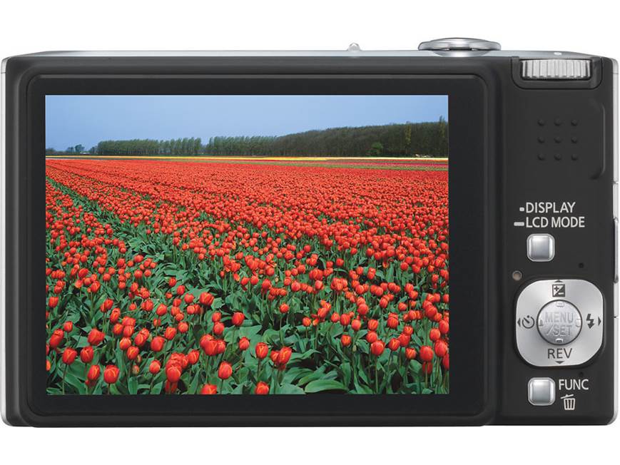 Panasonic Lumix® DMC-FX55 (Black) 8.1-megapixel camera with