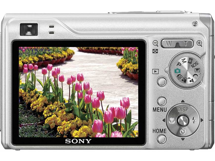 Sony Cyber-shot DSC-W200 12.1-megapixel digital camera at Crutchfield