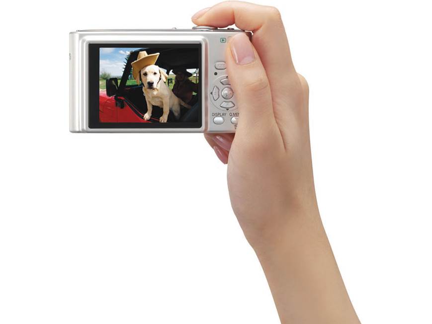 Panasonic Lumix DMC-FS5 (Silver) 10.1-megapixel digital camera