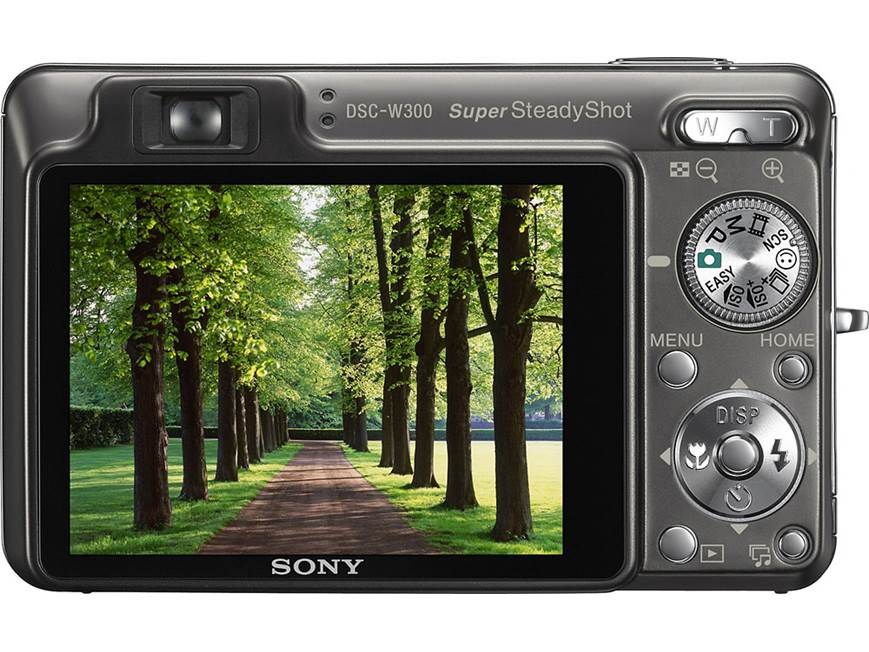 Sony Cyber-shot® DSC-W300 13.6-megapixel digital camera with 3X