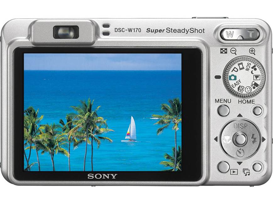 Sony Cyber-shot DSC-W170 (Silver) 10.1-megapixel digital camera