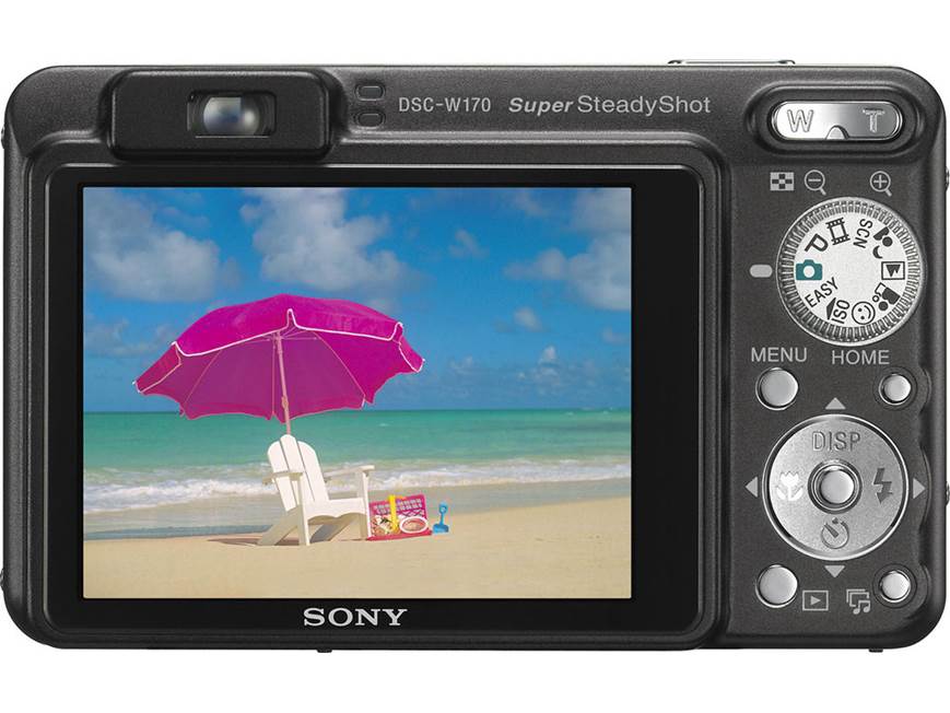 Sony Cyber-shot DSC-W170 (Silver) 10.1-megapixel digital camera