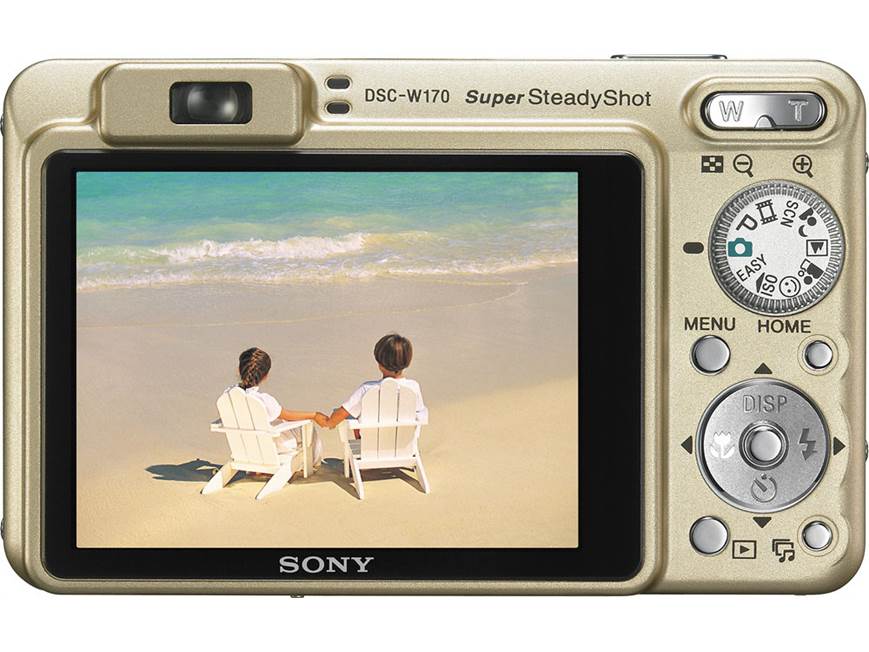 Sony Cyber-shot DSC-W170 (Silver) 10.1-megapixel digital camera