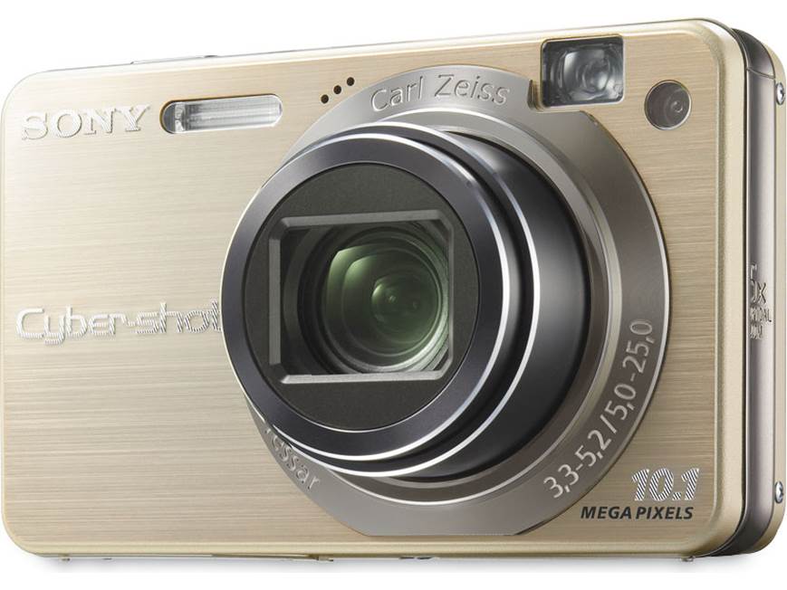 Sony Cyber-shot DSC-W170 (Silver) 10.1-megapixel digital camera
