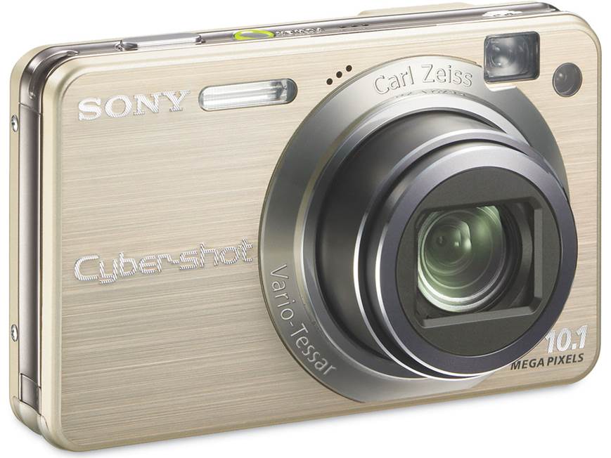 Sony Cyber-shot DSC-W170 デジタルカメラ シルバー Sony Cyber-shot DSC-W170 (Silver) 10.1-megapixel digital camera