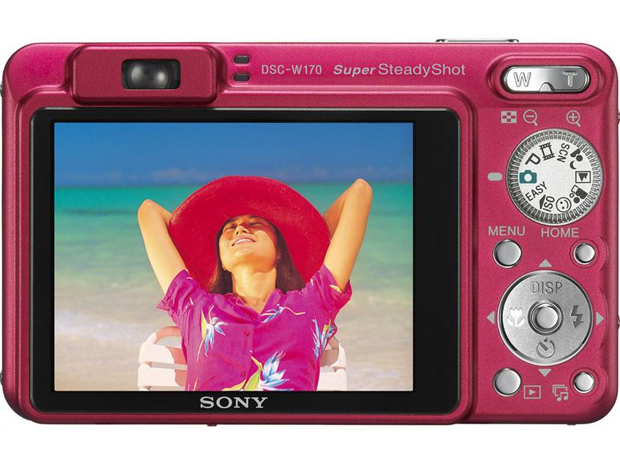 Sony Cyber-shot DSC-W170 (Silver) 10.1-megapixel digital camera