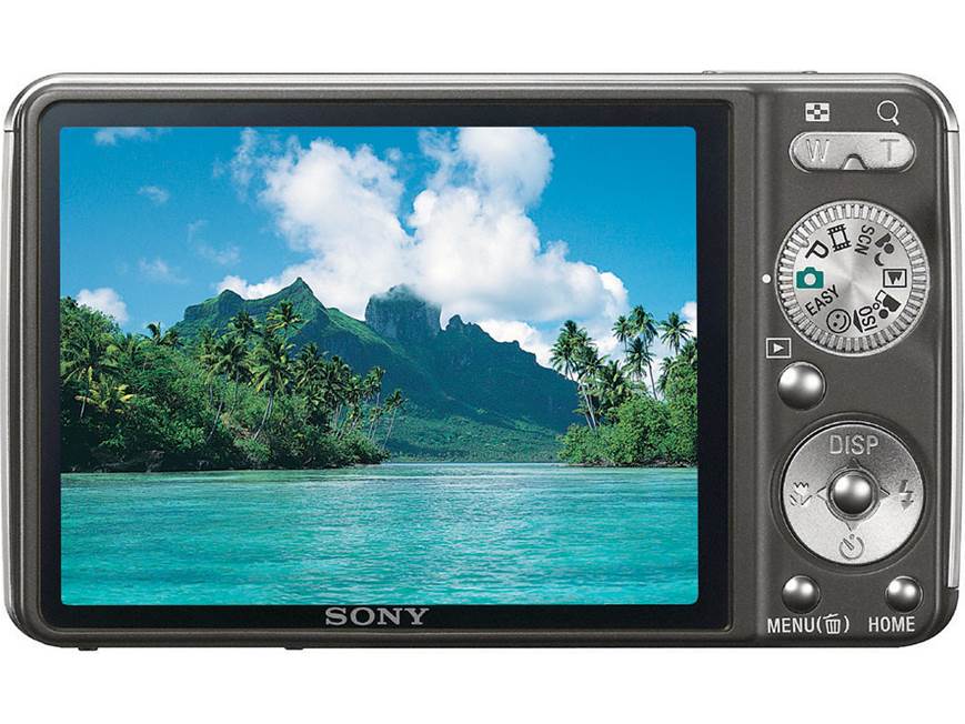 Sony Cyber-shot® DSC-W230 (Black) 12.1-megapixel digital camera