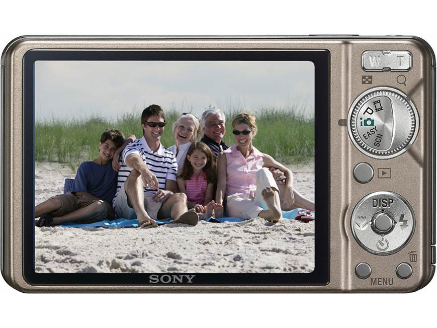 Sony Cyber-shot® DSC-W290 (Bronze) 12-megapixel digital camera