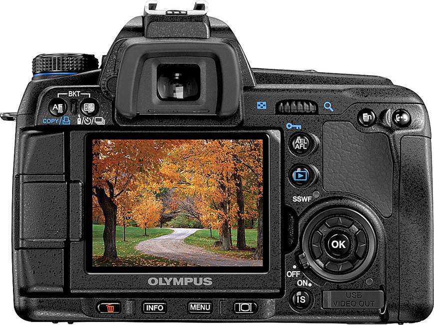 Olympus E-30 (Body only) 12.3-megapixel digital SLR camera at
