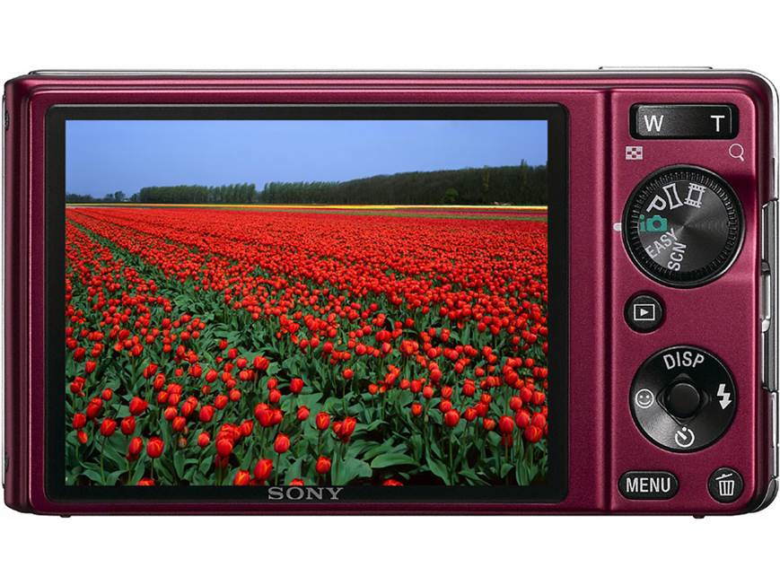 Sony Cyber-shot® DSC-W370 (Green) 14.1-megapixel digital camera