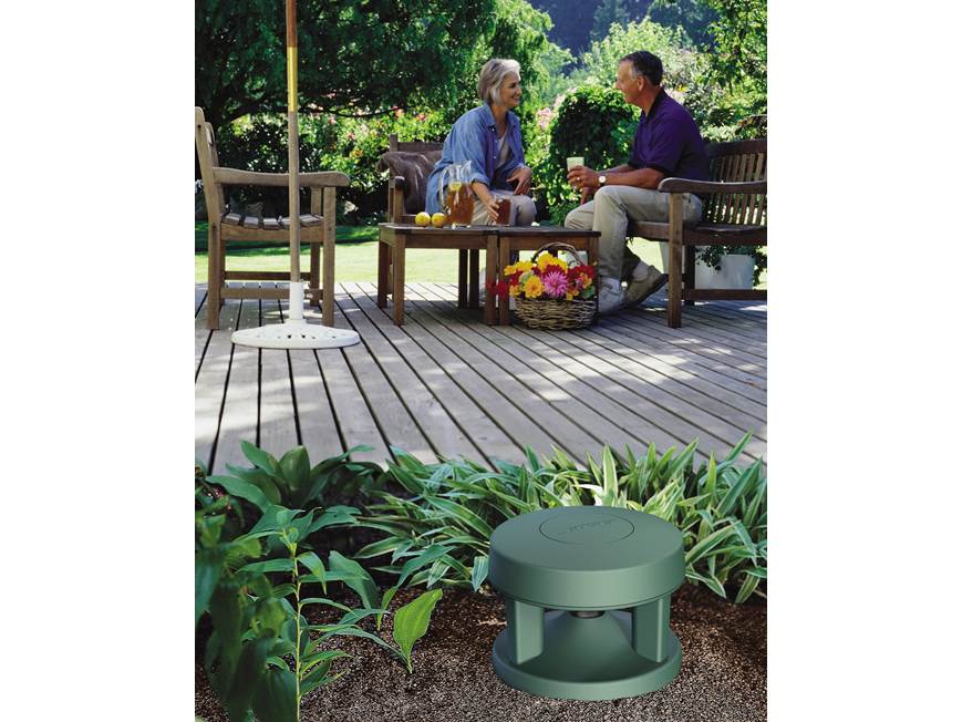 Bose® Free Space® 51 environmental speakers at Crutchfield