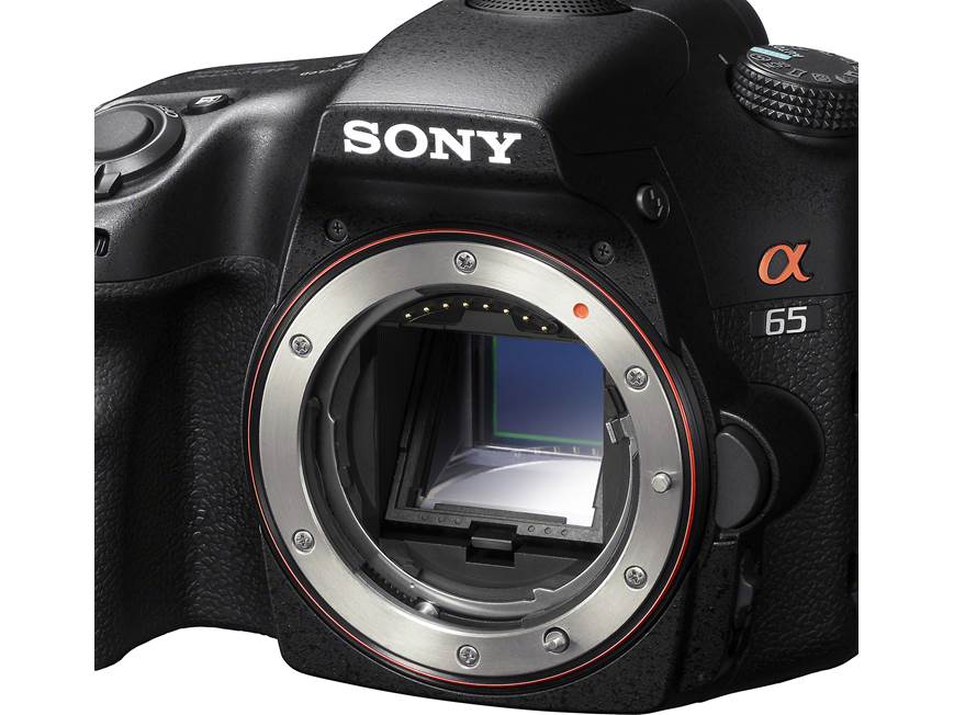 Sony Alpha SLT-A65V (no lens included) 24.3-megapixel digital SLR