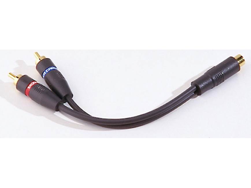 Monster Cable 1 Female/2 Male RCA Y-Adapter at Crutchfield