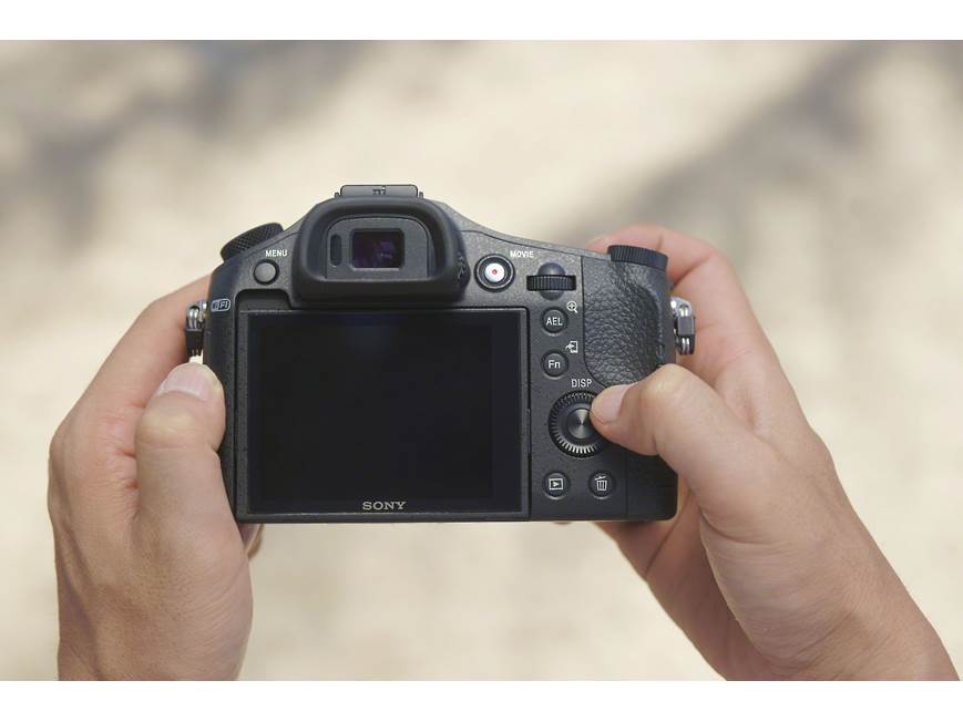 Sony Cyber-shot® DSC-RX10 Large-sensor 20.2-megapixel camera with
