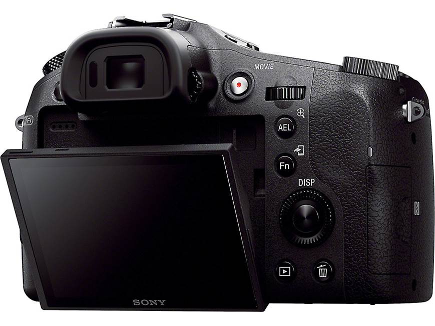 Sony Cyber-shot® DSC-RX10 Large-sensor 20.2-megapixel camera with