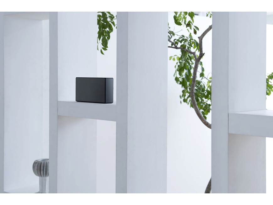 Sony SRS-X55 Portable Bluetooth® speaker at Crutchfield