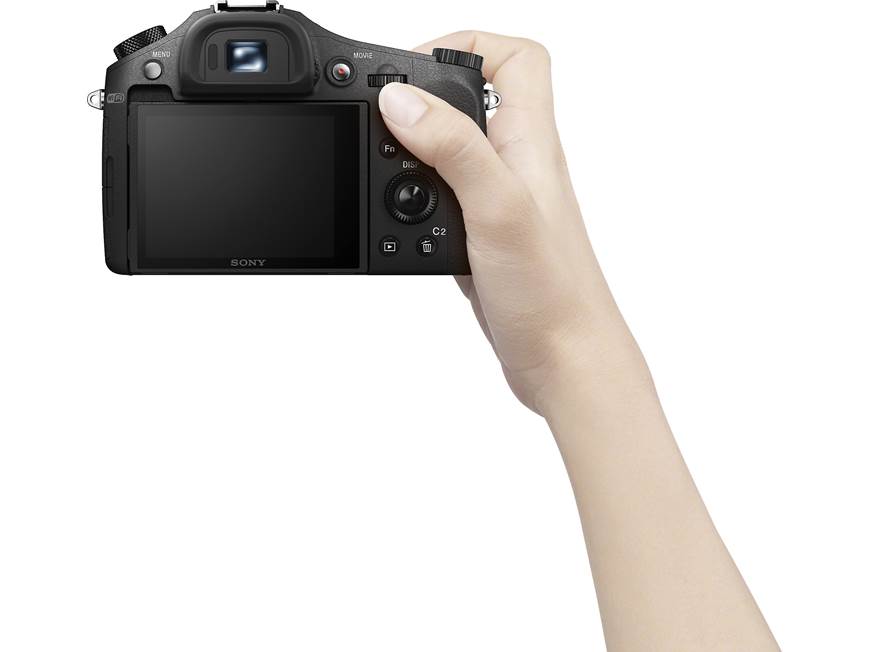 Sony Cyber-shot® DSC-RX10M2 Large-sensor 20.2-megapixel camera