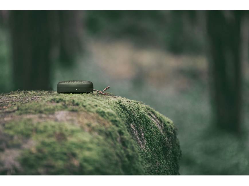 Bang & Olufsen Beoplay A1 (Moss Green) Portable Bluetooth® speaker