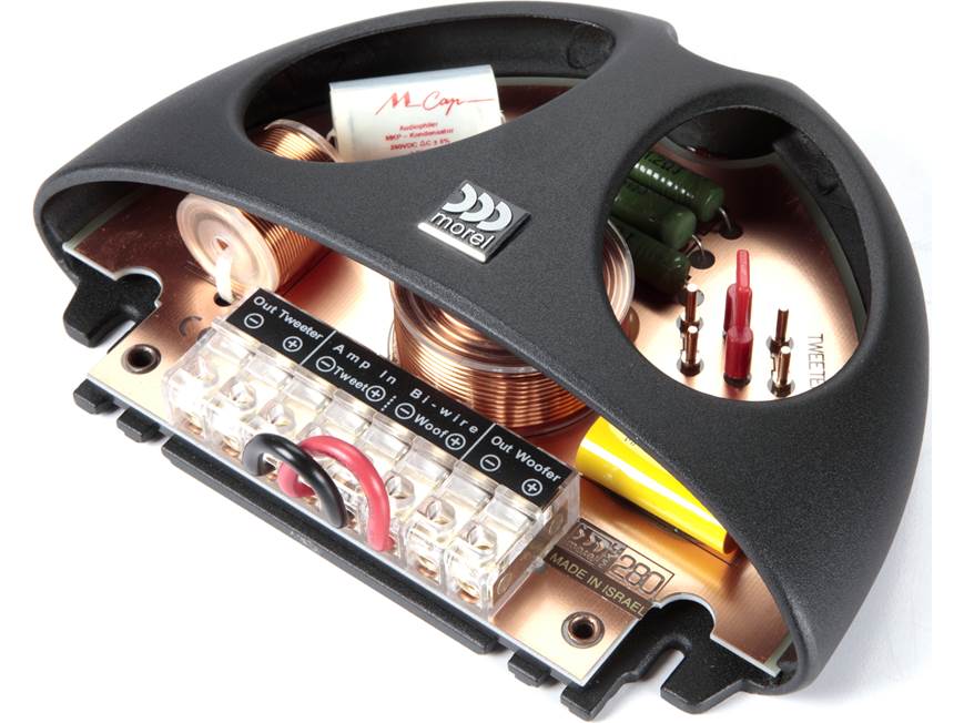 Morel 38 Limited Edition 38th Anniversary Limited Edition Series 6