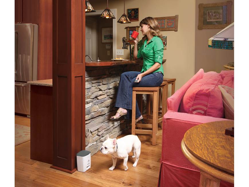 PetSafe Train n' Praise™ Treat Dispenser Remote-controlled food