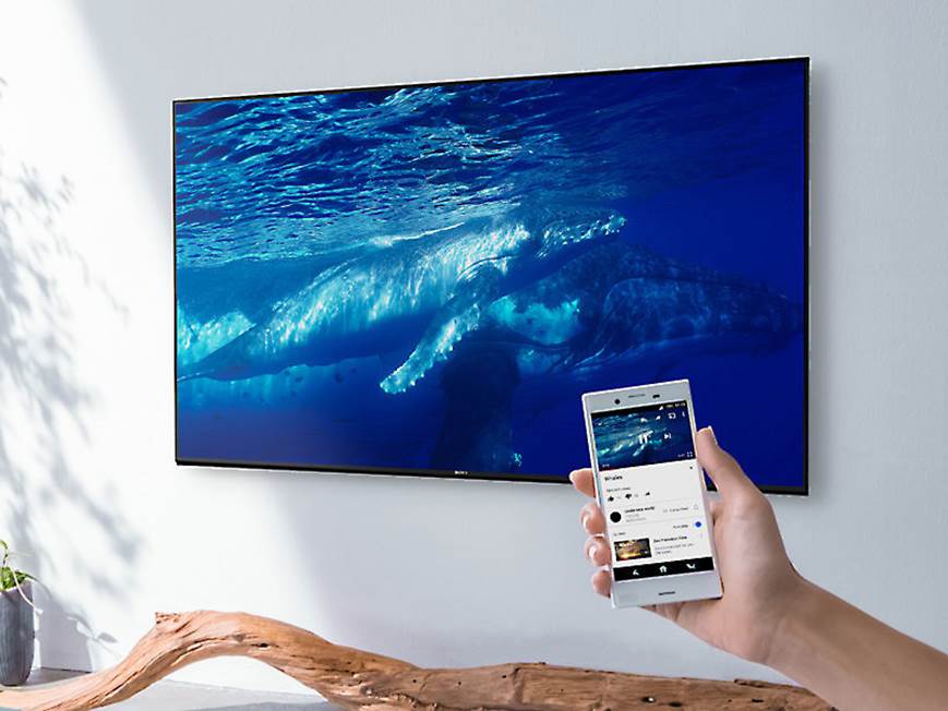 Sony XBR-49X800E 49