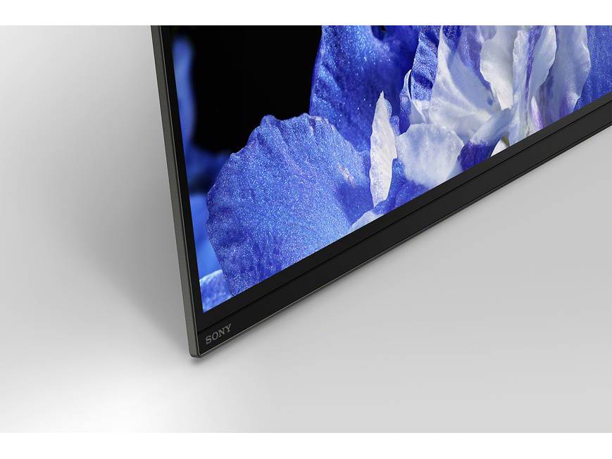 Sony XBR-65A8F 65