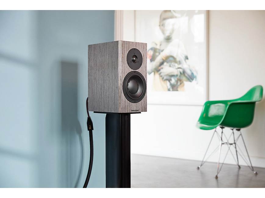 Dynaudio Special Forty (Grey Birch) Stand-mount speakers (Grey
