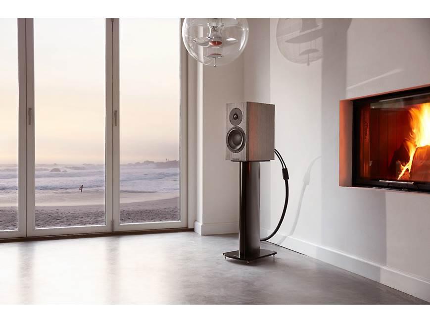 Dynaudio Special Forty (Grey Birch) Stand-mount speakers (Grey