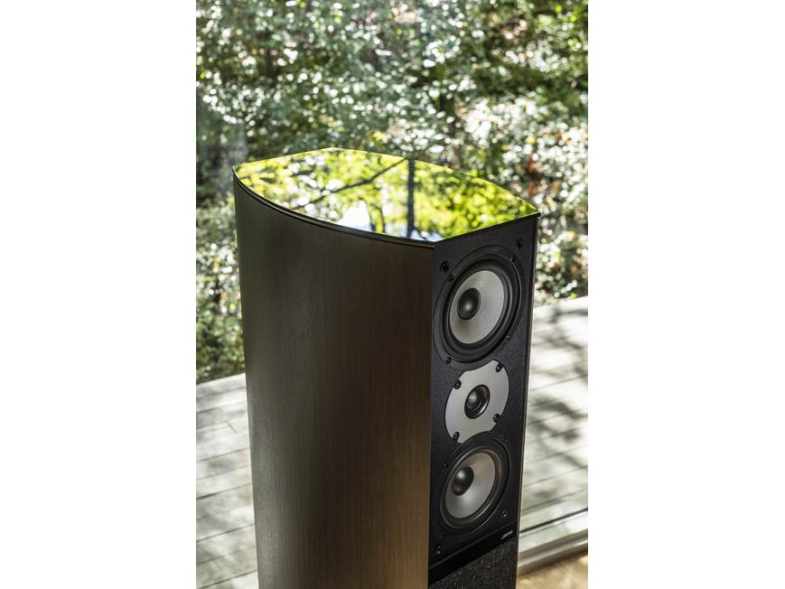 Jamo D 590 50th Anniversary Special Edition (Black Ash) Floor