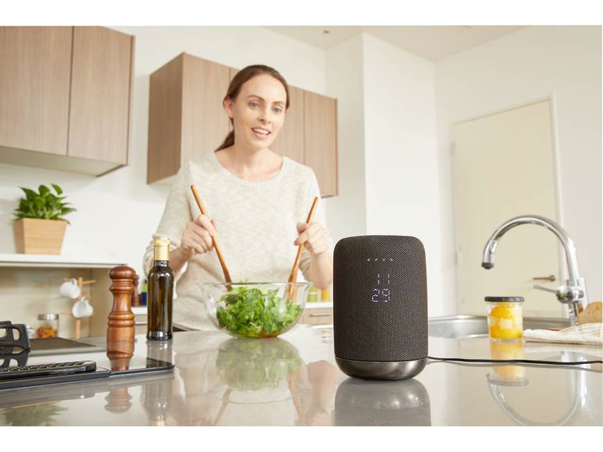 Sony LF-S50G (Black) Wireless powered speaker with Google