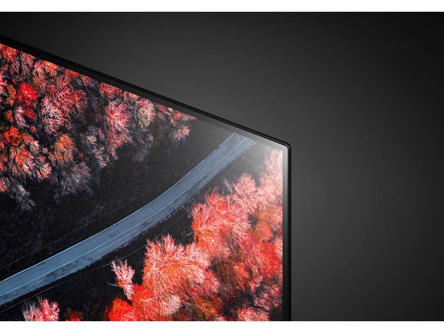 LG OLED55C9PUA 55