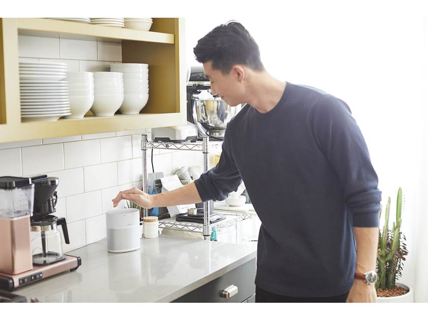 Bose® Home Speaker 300 (Luxe Silver) Multi-room powered speaker