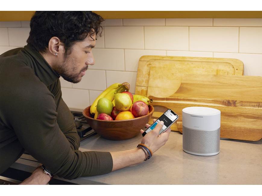 Bose® Home Speaker 300 (Luxe Silver) Multi-room powered speaker