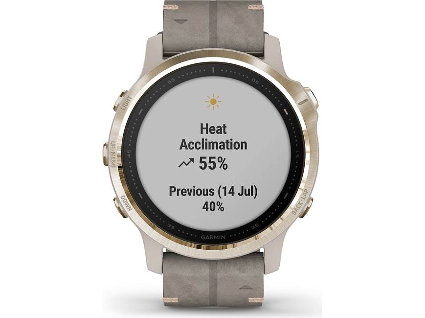 Garmin fenix 6S Sapphire (Light gold-tone bezel, shale gray band