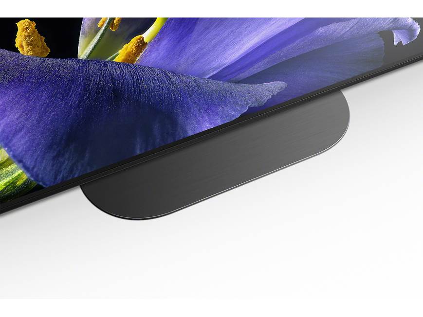 Sony MASTER Series XBR-55A9G 55