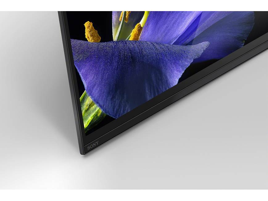 Sony MASTER Series XBR-65A9G 65