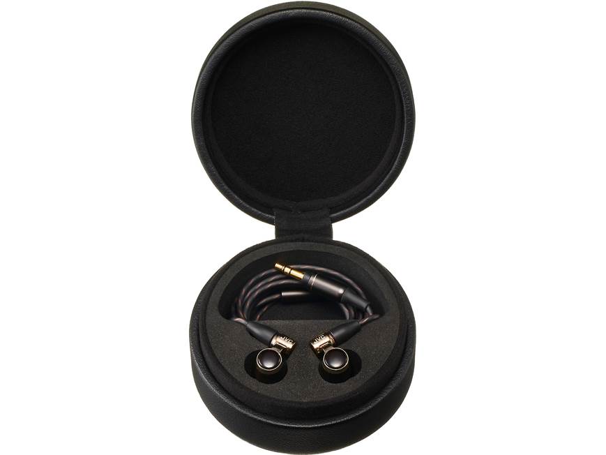 JVC HA-FW10000 Premium in-ear headphones with wood-dome drivers at
