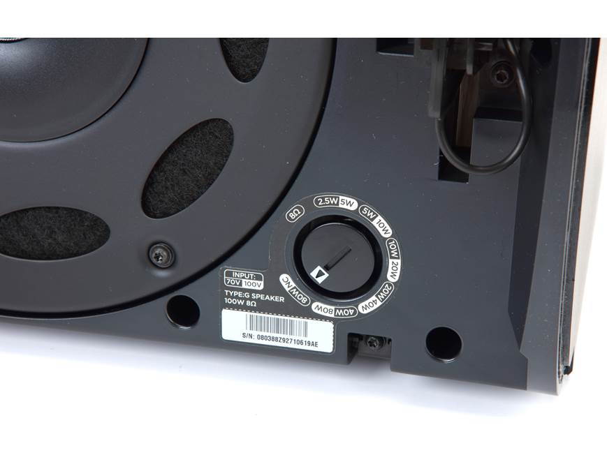 Bose Professional DesignMax DM6SE (Black) 6-1/2