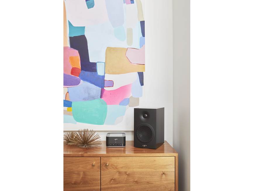 Paradigm Premier 100B (Black) Bookshelf speaker (Black) at Crutchfield