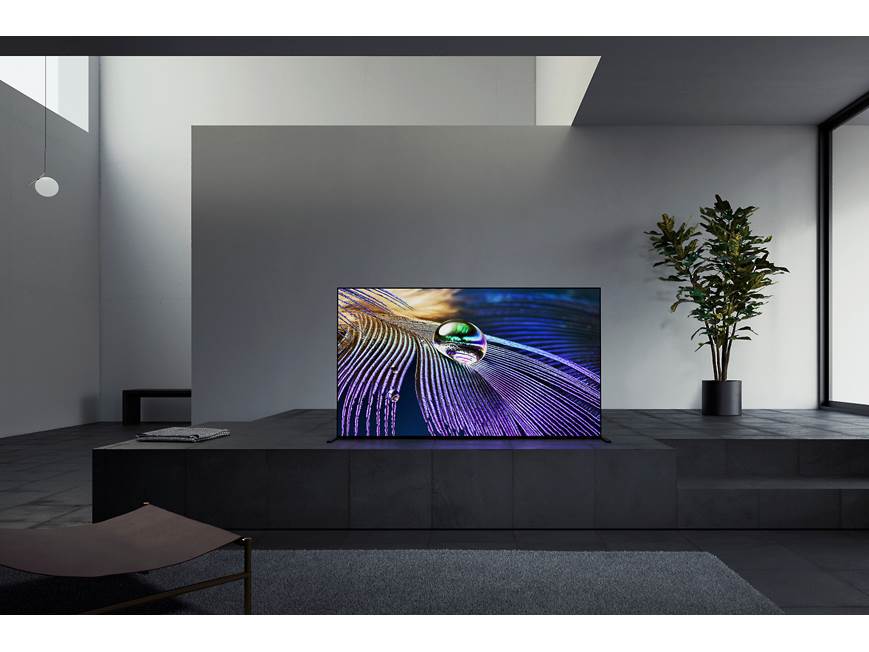 Sony MASTER Series XR-55A90J 55