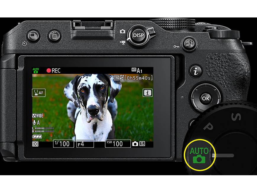 Nikon Z 30 (no lens included) 20.9-megapixel APS-C sensor
